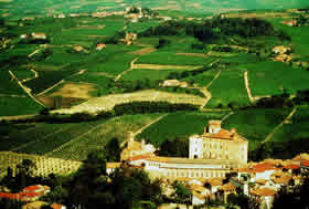 PIEDMONT - V1INEYARDS - Credit - ATL LANCHE E ROERO